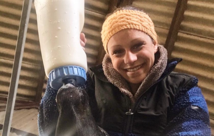 Lianne Farrow, who is not from a farming background, now heads up the calf rearing at the Downes family farm in Shropshire