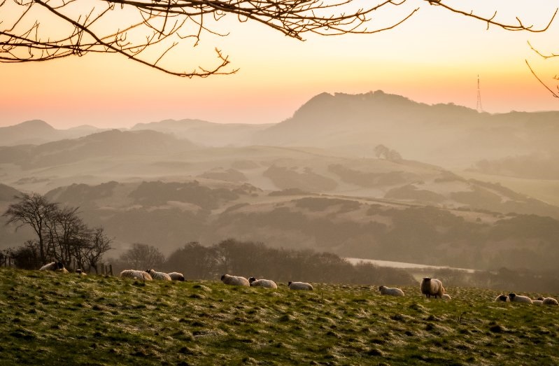 The competition aims to highlight how local land is owned, used and managed and how it impacts everyday lives in Scotland