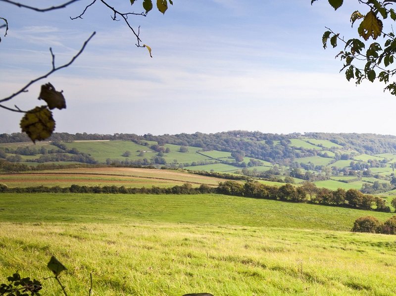 The data is the latest in a series of surveys going back to the late 1970s showing decisions about the letting of land