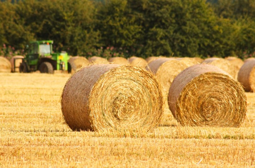 Harvest Year Accounting allows for direct comparisons to be made on the performance of each crop against previous harvests