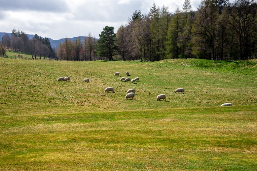 Payments to support Scottish farming businesses through the current financial crisis have exceeded targets by three months