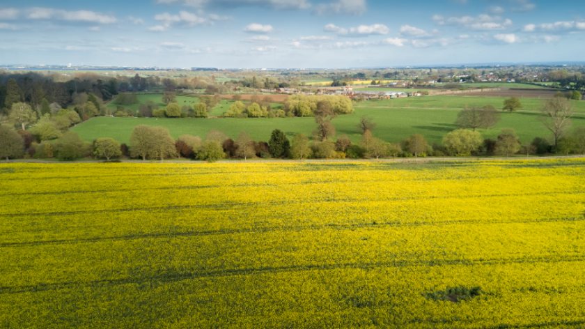 Farmland outperformed all the other asset classes that was tracked during the past three months, according to Knight Frank