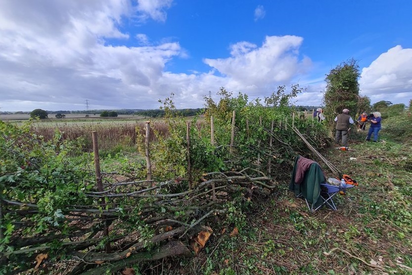 The event on 1 October at the Rotherfield Park Estate resulted in a remarkable 555.4 metres of hedges laid