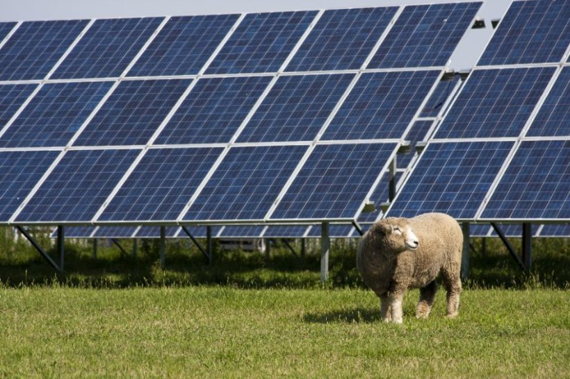 Ranil Jayawardena, the new Defra Secretary, is understood to oppose solar panels being placed on agricultural land