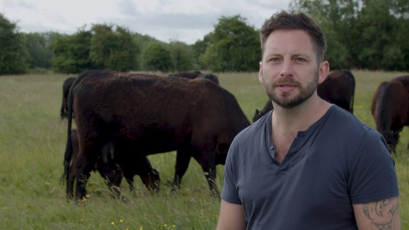 AMP grazing is being trialled in Oxfordshire by FAI Farms farm manager, Silas Hedley-Lawrence, as part of a four-year project
