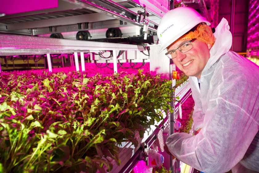 Construction on the 25,000m2 vertical farm at the Food Enterprise Park in Easton is now complete (Photo: Fischer Farms)