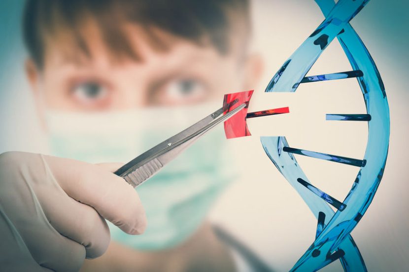 The post-Brexit law change means that scientists will be able to undertake research and development using gene-editing techniques