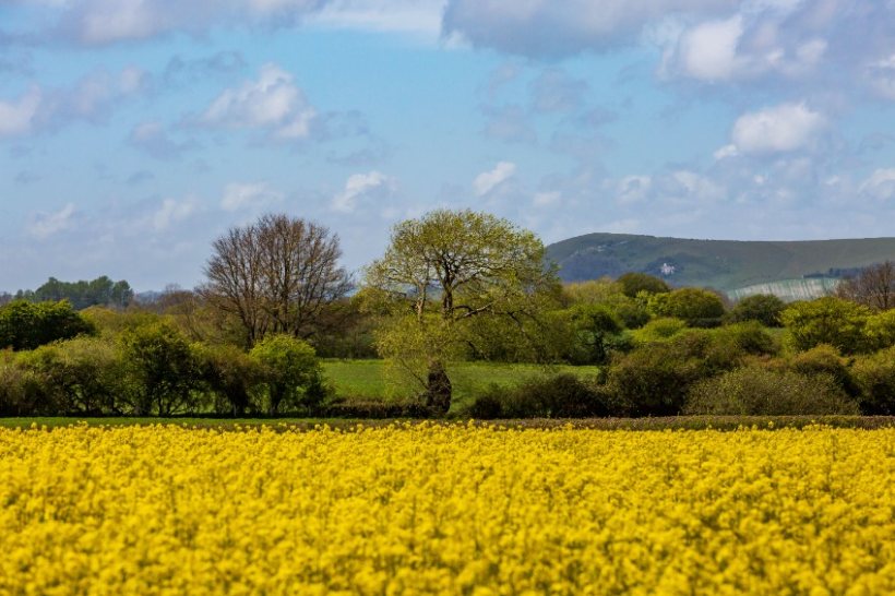 Nature groups are calling on the government to commit to the Environmental Land Management schemes, first announced in 2018