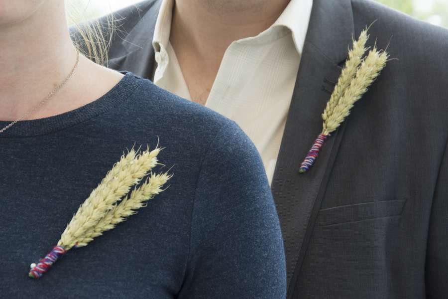 MPs were asked to wear their wheatsheaf pin badge, now an emblem of the day, to show their support