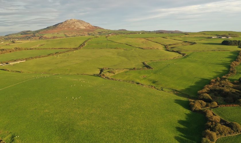 Bryn Nodol boasts 119 acres of productive grassland and is being sold by informal tender