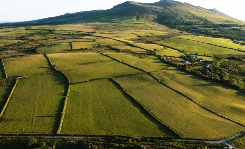 Bryn Ifan has 451 acres of mixed grazing and is for sale by private treaty