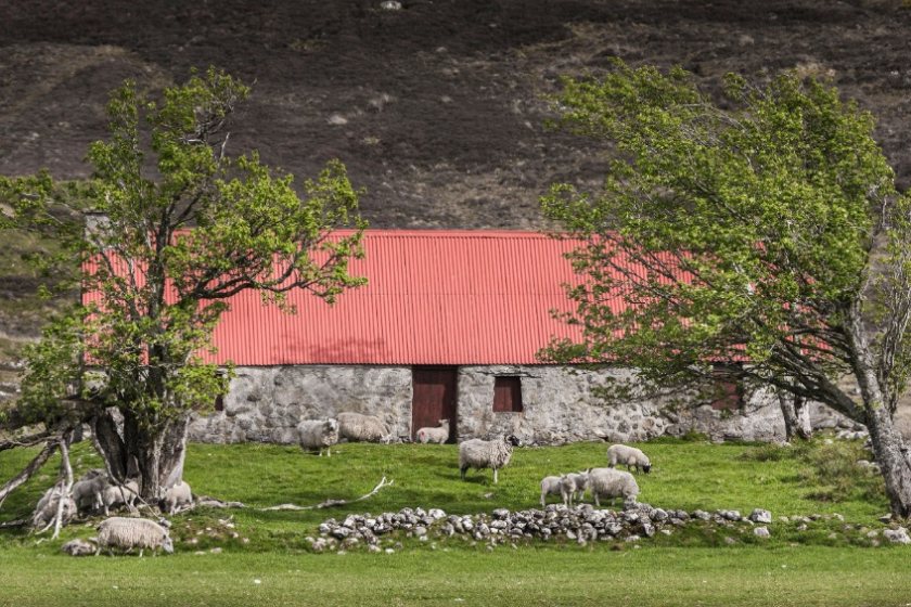 The scheme provides grant funding to businesses within the Scottish food and drink sector, including farms