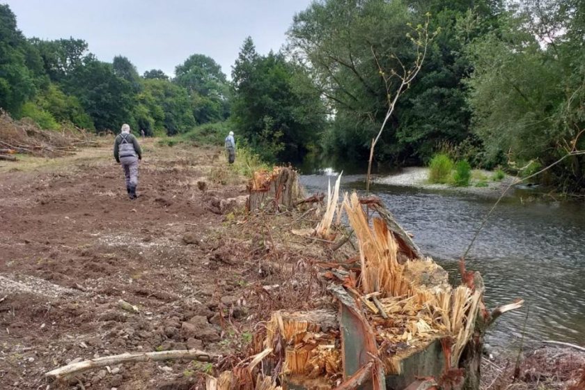 Fish Legal said anglers had "witnessed trees and bankside vegetation being removed by heavy machinery" (Photo: Fish Legal)