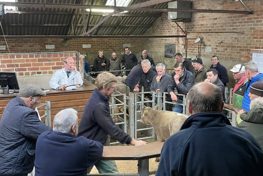 Figures show in excess of 230,000 calves were sold through livestock markets across England and Wales in the last year