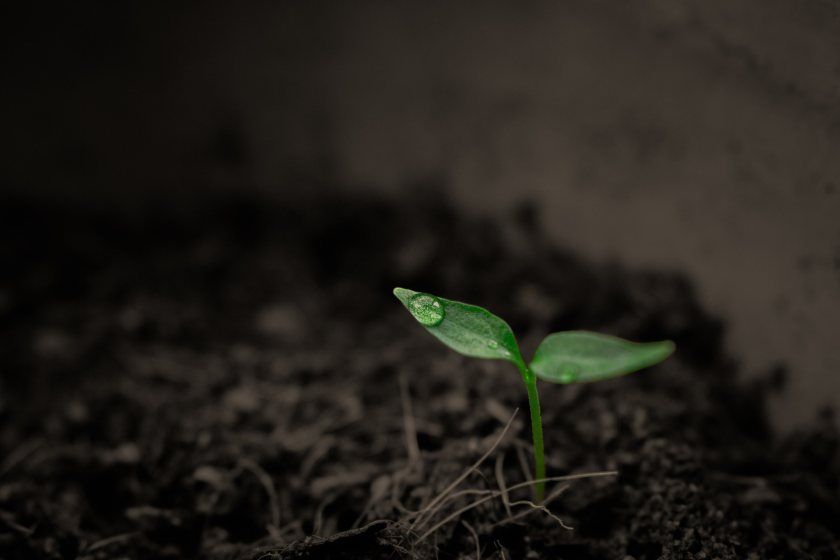 If successfully integrated, speedier soil compaction mapping could enable areas of high soil density to be treated sooner and less wastefully
