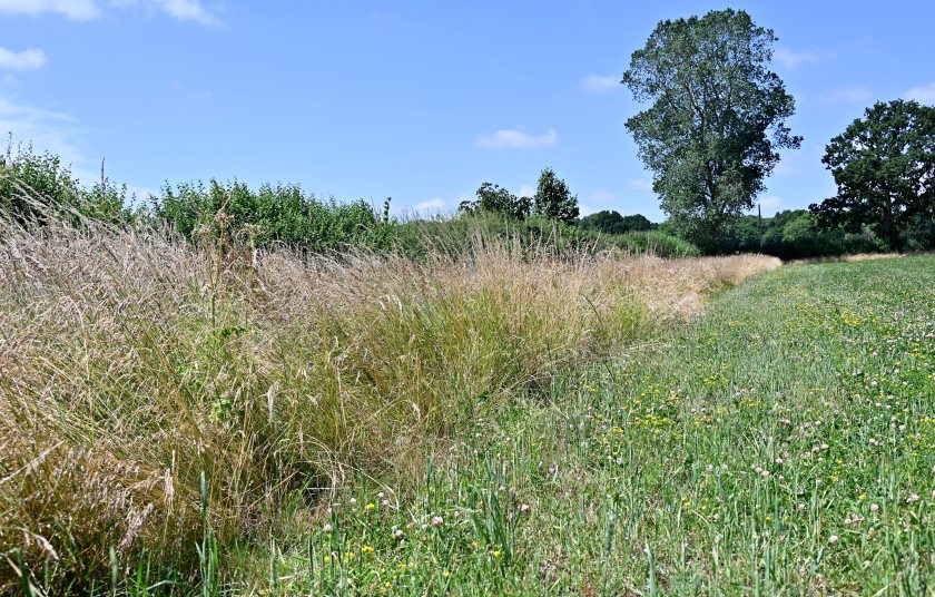 Severn Trent's STEPS grant is now open for farmers in the Midlands to apply, with a deadline set for 31 January 2023