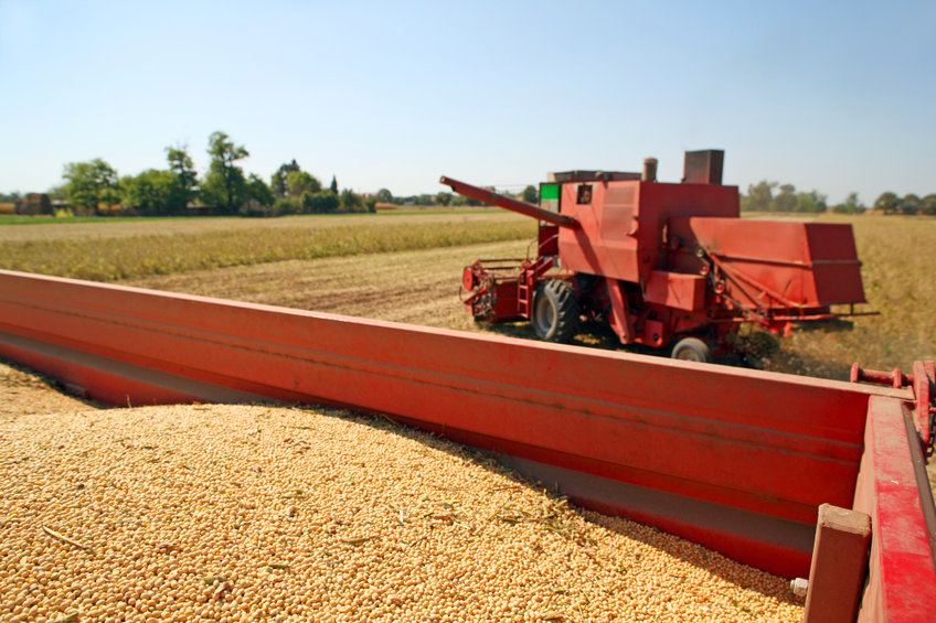 Soy is one of the main contributors to the UK’s deforestation and conversion footprint today