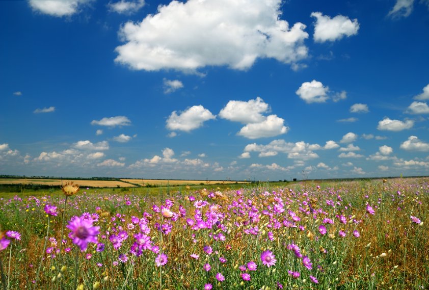 In total, 22 successful bids for Landscape Recovery pilot scheme projects were announced in September