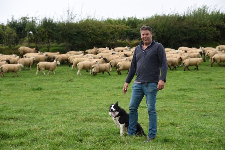 Five farms, including Carmarthenshire farmer Gareth Morgan, have supplied a total of 120 lambs to the project