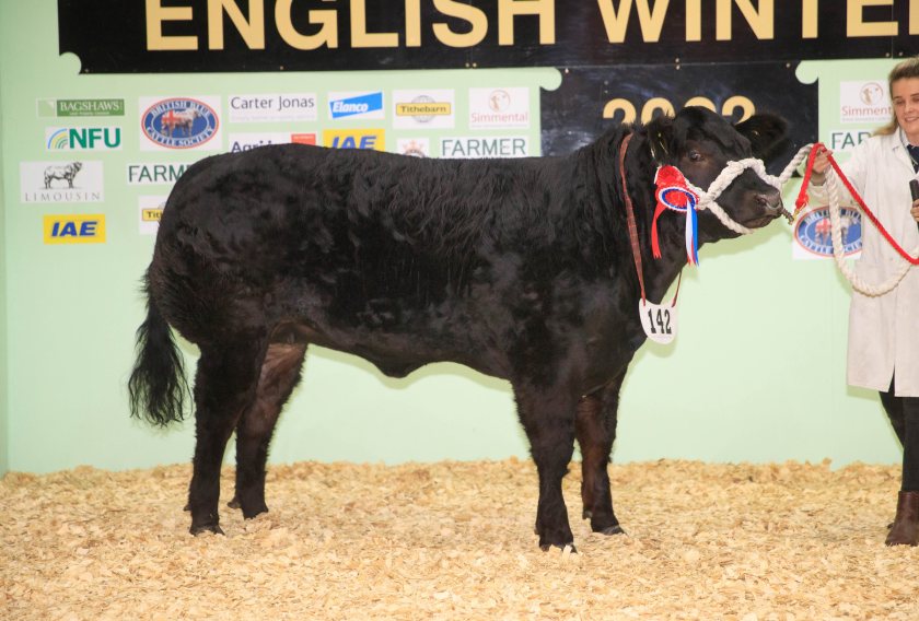 The English Winter Fair witnessed a remarkable finale as a family from North Yorkshire took home both the championship and reserve titles