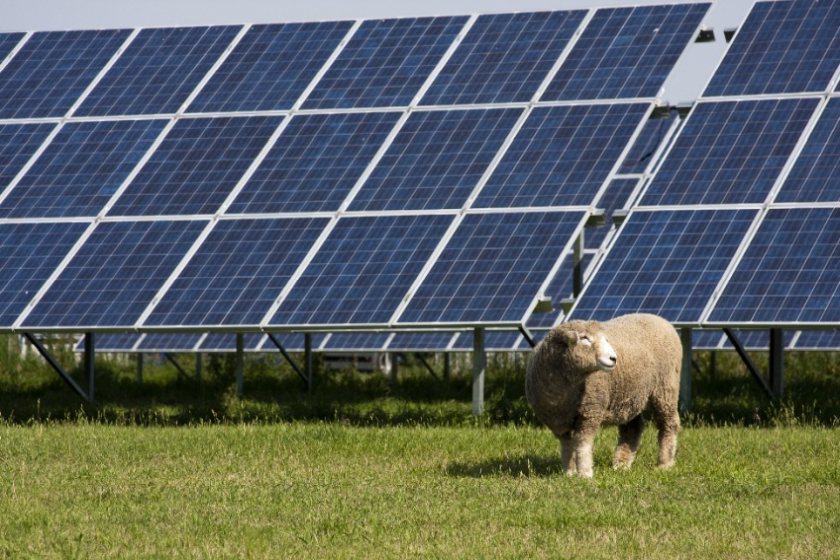 Only 22% of farmers in England have solar, according to the Energy and Climate Intelligence Unit's new analysis