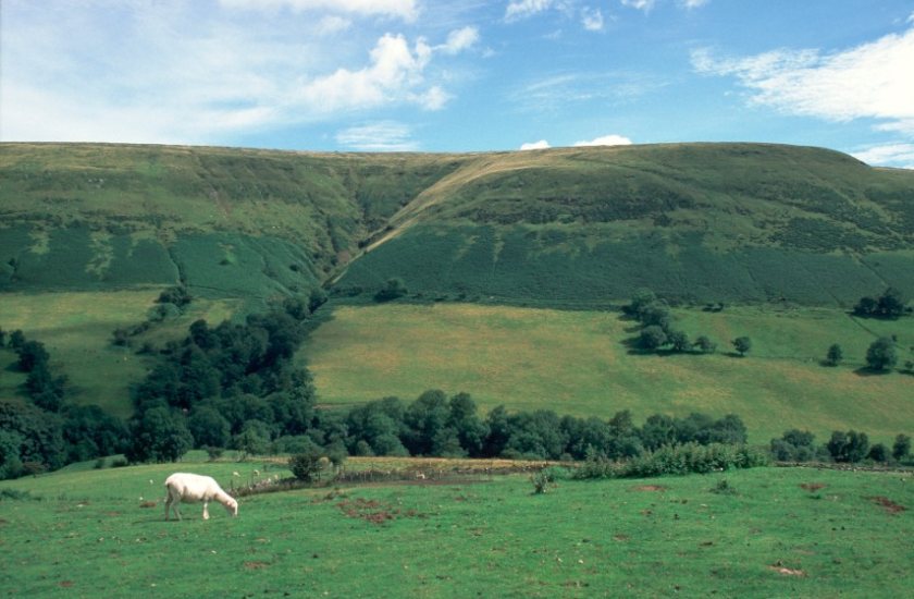 Almost 10 percent of Welsh agricultural land is registered as common land, providing grazing for right holders