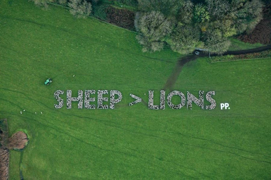 The 104m-wide message, taking aim at the Three Lions, was spelt out at Gower Salt Marsh farm near Swansea