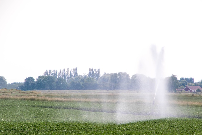 The NDG heard at its latest meeting that farmers and growers across the UK were likely to experience the effects of drought next year