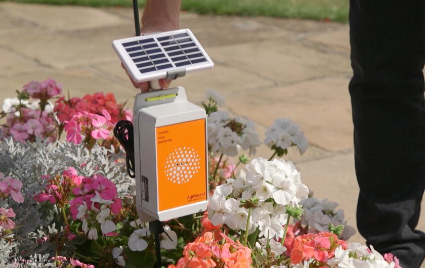 The automated, low-cost listening device, which is powered by solar, monitors bee levels within a field (Photo: AgriSound)