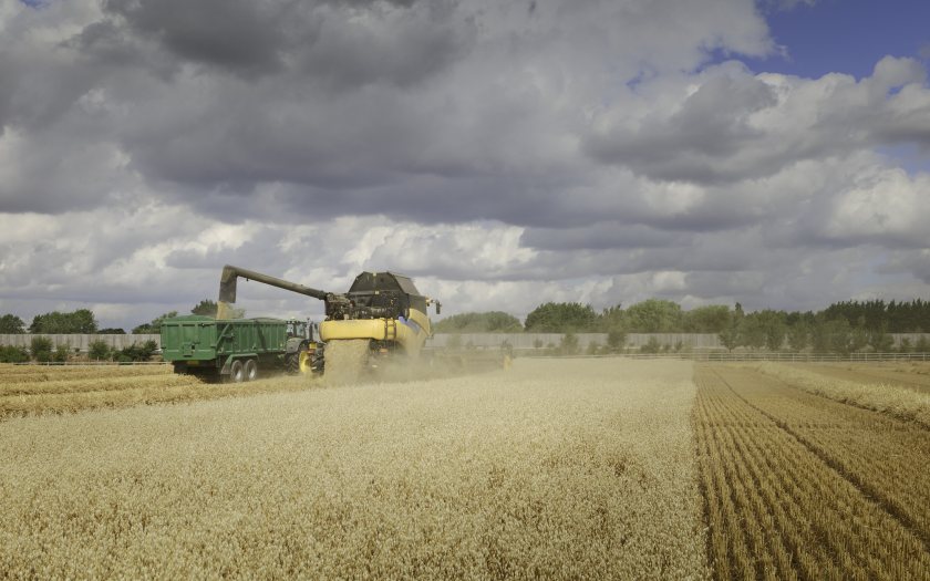 The new lab will analyse thousands of oat samples from regenerative agricultural trials for milling and nutritional requirements.