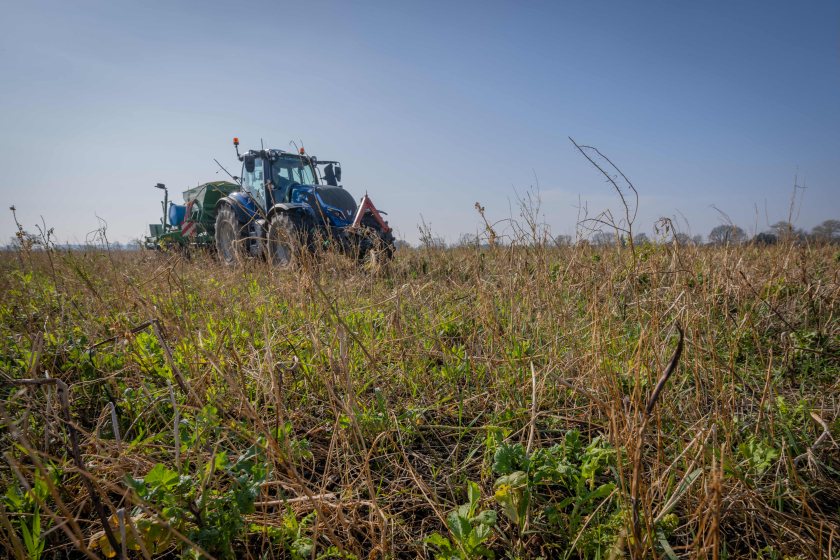 The cover crops project aims to develop the UK’s first farmer-led and scientifically supported guide to cover crop selection