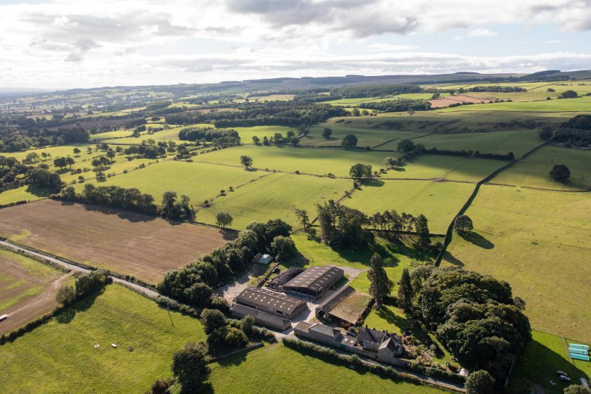 Hawsteads Farm, a diverse upland livestock farm, is being offered to let by informal tender