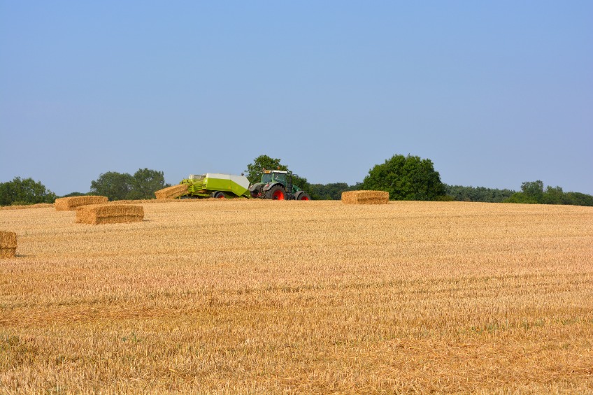 For trust in farmers, 15% reported an increase in trust, while only 8% reported a decrease