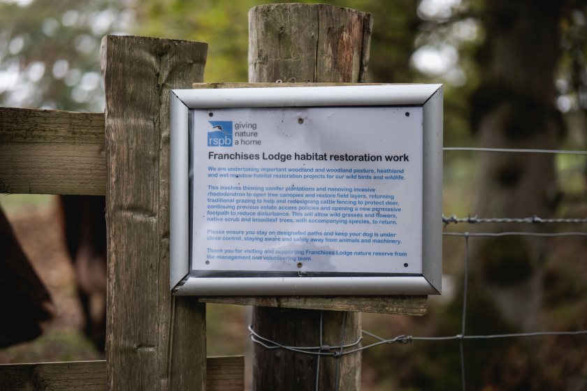 The National Park Authority says the scheme is a 'fantastic' example of collaborative work in the New Forest