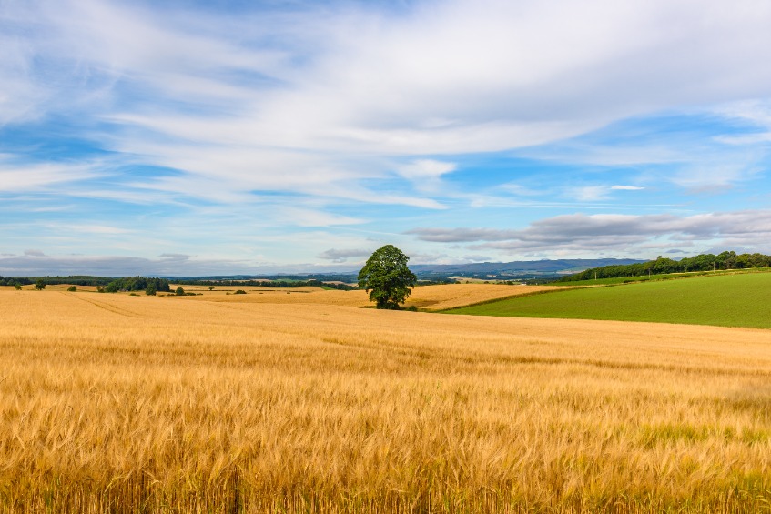 Agronomy roadshows, delivering the latest arable research, will take place at venues in the Borders, Perthshire and Aberdeenshire during January