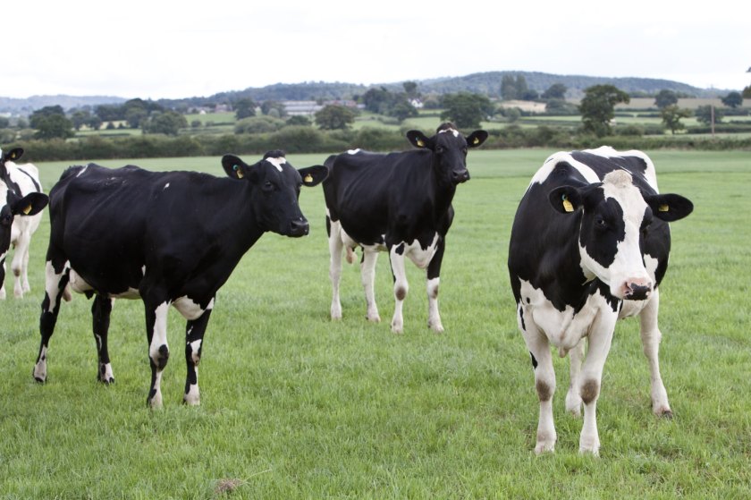 Meadow, a value-added ingredients businesses, has become the latest associate partner in Harper Adams' School of Sustainable Farming