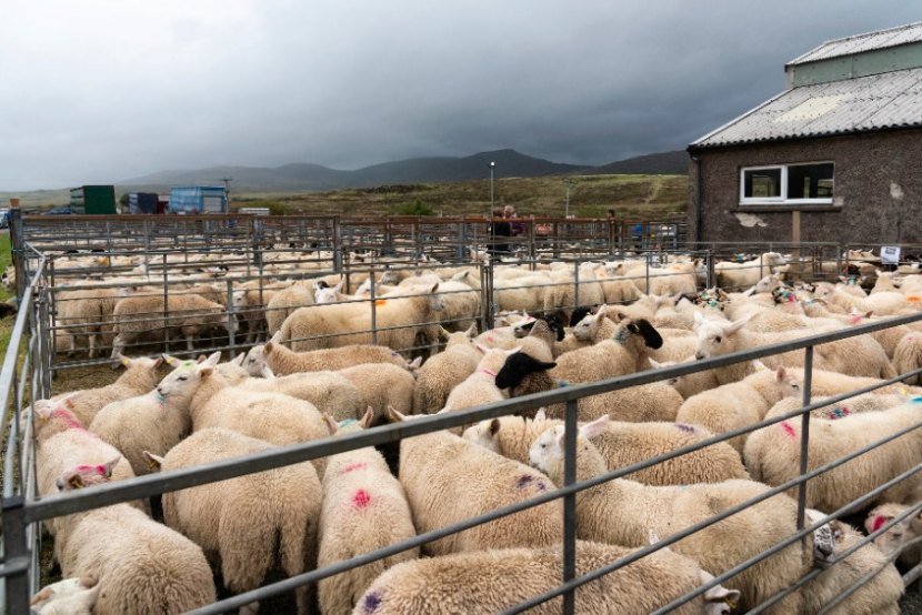 The union said concrete evidence on the business intentions of the industry would accurately illustrate the current challenges facing farmers