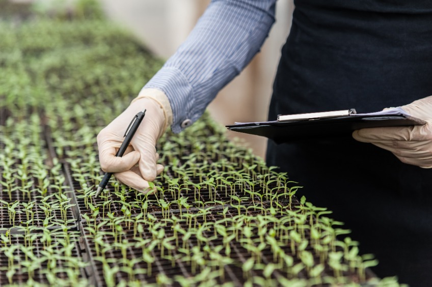 The government's new Great Britain-wide strategy sets out five-year vision for improving plant health and biosecurity