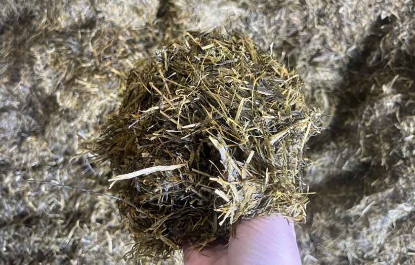 Farmers are being urged to resist the temptation to include any spoiled silage in the ration for their cattle this winter