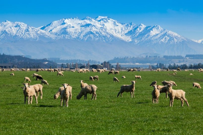 The UK signed a free trade agreement with New Zealand in February 2022, despite concerns from the farming industry over production standards