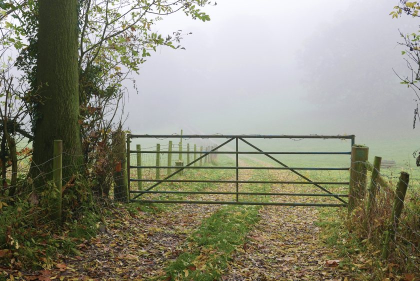 NFU Mutual said it was pledging this support to help tackle the ongoing effects of the pandemic and the impact of the rising cost of living