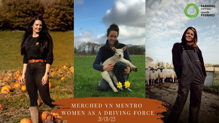 Farmers who are big on Instagram will discuss women in farming who are driving diversification, and how others can also do so