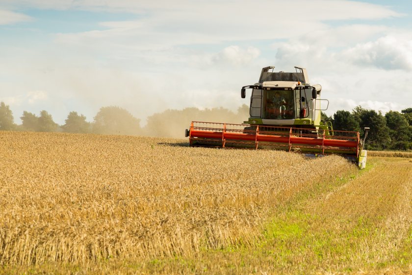 Pupils will learn more about how farmers work 365 days of the year throughout the various seasons to produce food