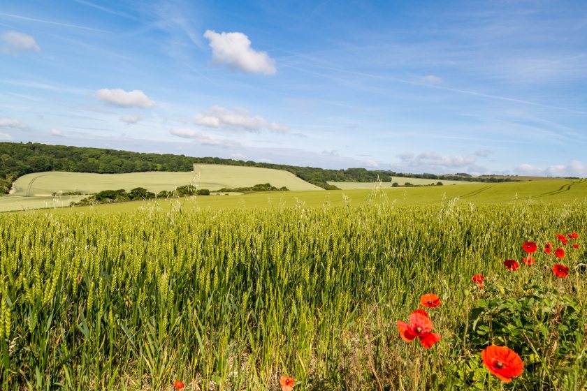 The plan details how 65-80% of farmers in England will adopt nature friendly farming practices on at least 10-15% of their land by 2030