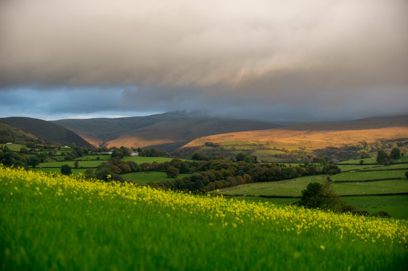 85% of payments have been made - more than 3,100 claims - for the Glastir Entry and Advanced, Commons, and Organic schemes