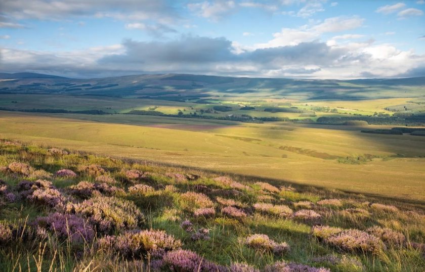 The sale is part of ongoing efforts by the landowner to cut down its footprint in Scotland (Photo: Buccleuch Estate)