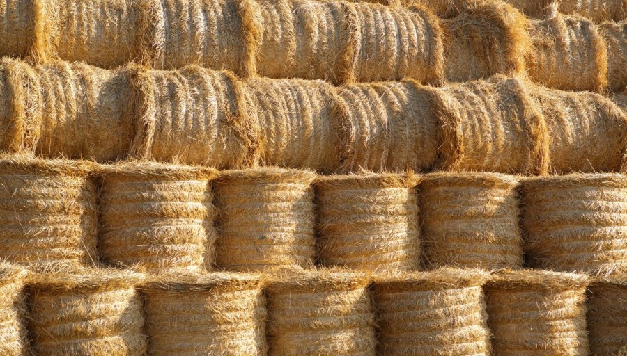 Figures from the HSE show that 20% of all agricultural deaths in 2021/22 were due to people being struck by an object