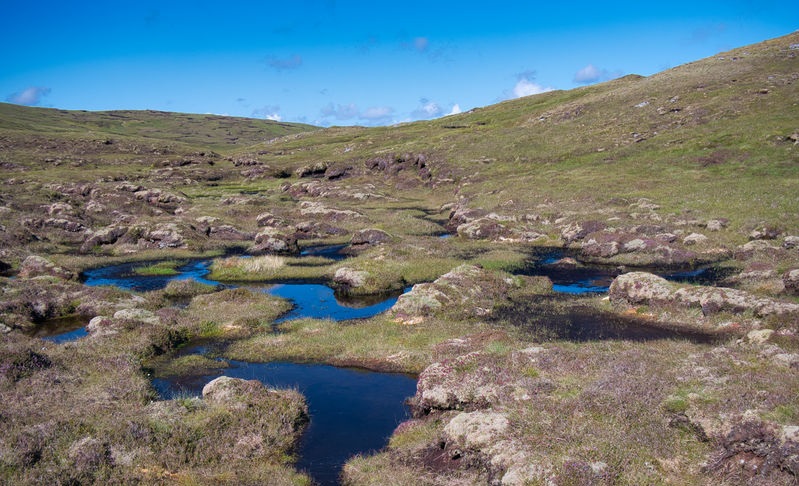 The Farm Advisory Service is providing advice to help farmers navigate peatland restoration projects and tap into carbon credits