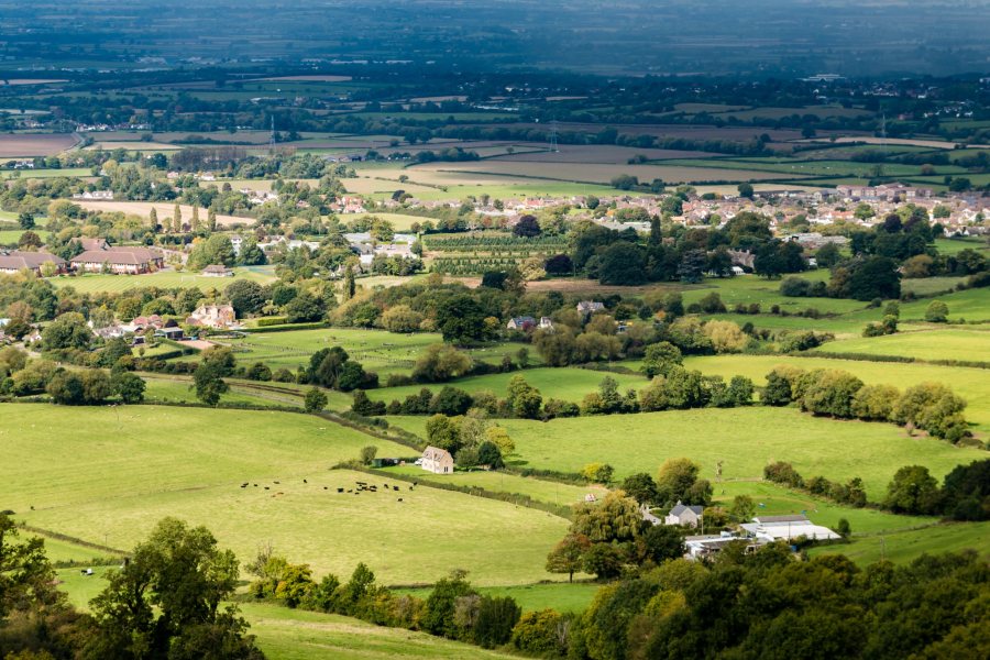 The main woodland target is to increase tree canopy and woodland cover to 16.5% of total land area by 2050