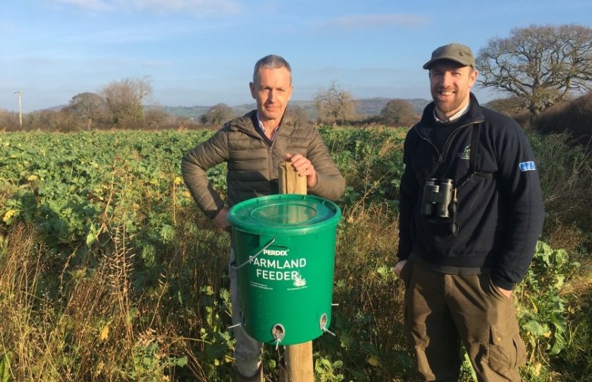 The three-year project, taking place on two farms across Wales, has sought to help reverse the decline of farmland bird numbers